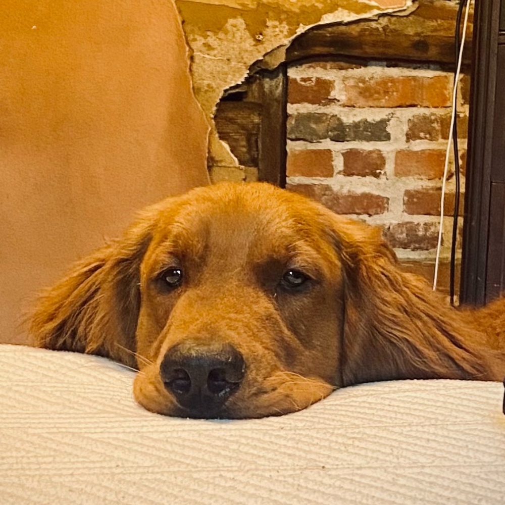 Meet your Posher, Cristina